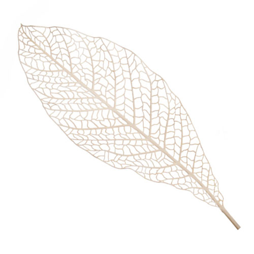 Lacy Skeleton Leaf Cream - SKE002 S3 Lacy Skeleton Leaf Cream - SKE002 S3
