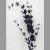 Artificial Lonicera Leaves Black - LON002 J1