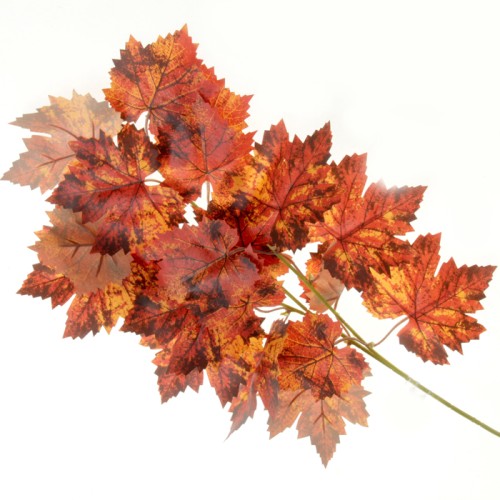 Artificial Maple Leaves Orange 60cm - MAP021 AA2 Artificial Maple Leaves Orange 60cm - MAP021 AA2