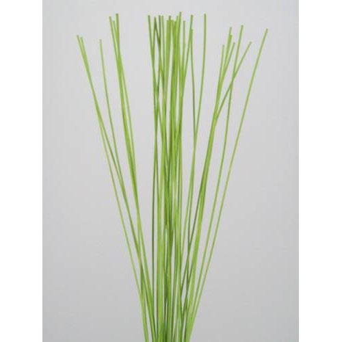 Midelino Sticks Lime Green - MS005