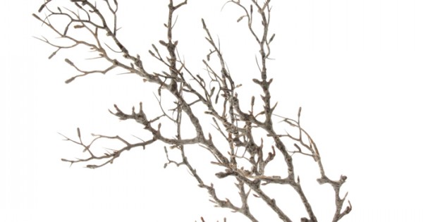 Artificial tree branches for sale hotsell