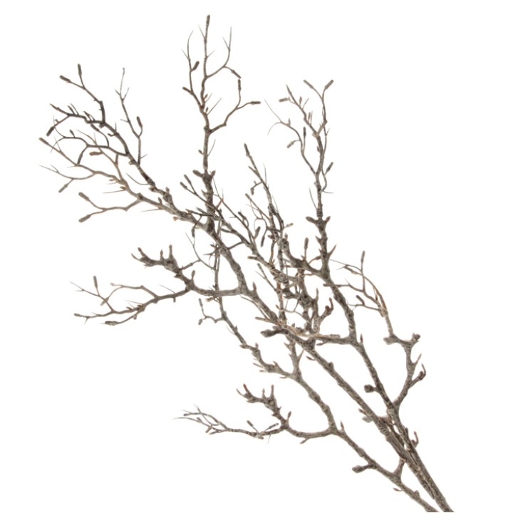 Branches and Sticks