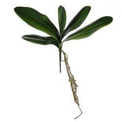Artificial Orchid Leaves and Roots 35cm - O011 K4
