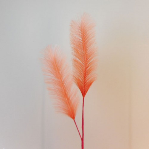 100cm Artificial Pampas Grass Coral - PAM014 M3