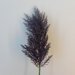 70cm Artificial Pampas Grass Aubergine Purple - PAM010 BX5