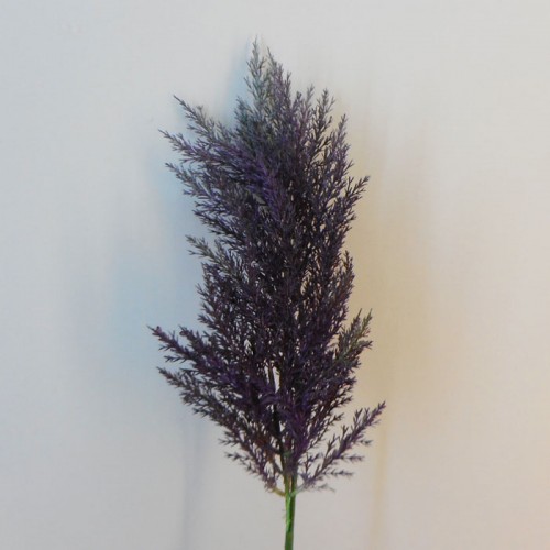 70cm Artificial Pampas Grass Aubergine Purple - PAM010 BX5