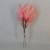 36cm Artificial Pampas Grass Picks Coral Pink 6 Pack - PAM029 M3