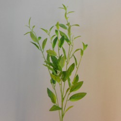 Artificial Privet Branch - PRI002 J2