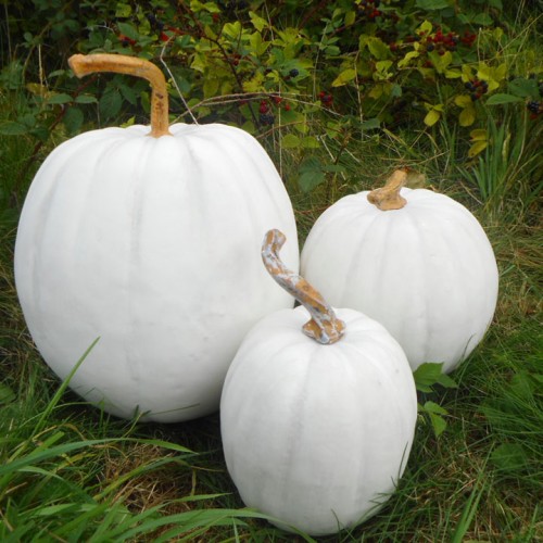 Artificial Pumpkin Medium White 24cm - PUM014 