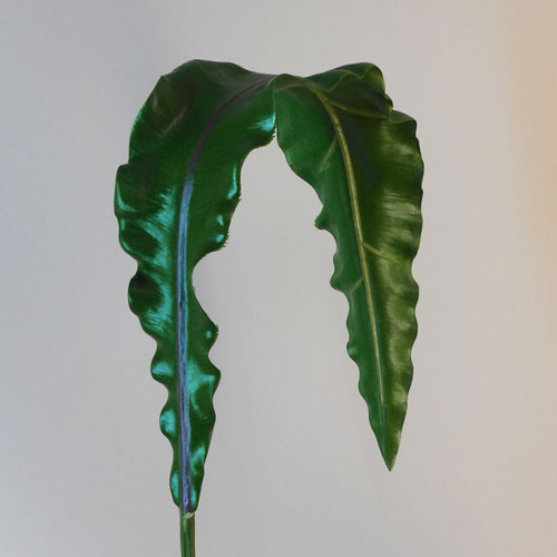 Real Touch Asplenium Leaf - ASP003 A2