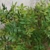 Artificial Sorbus Leaf Spray 60cm - SOR001 II4 Artificial Sorbus Leaf Spray 60cm - SOR001 II4