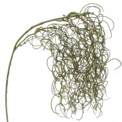 Artificial Tillandsia Plant Brown Green (Spanish Moss)