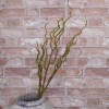 Artificial Branch Moss Covered Willow 90cm - MOS018 DD2