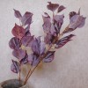 Artificial Chinese Witch Hazel Leaves Burgundy 80cm - LEA008 