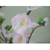 5' Artificial Cherry Tree Pink - CHE001