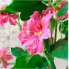 Artificial Bauhinia Tree Pink 120cm - BAU001