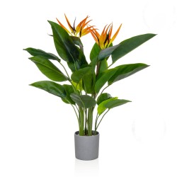 Artificial Plants | Potted Artificial Strelitzia Plant 80cm | Bird of Paradise - BIR002 