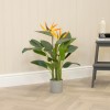 Artificial Plants | Potted Artificial Strelitzia Plant 80cm | Bird of Paradise - BIR002 