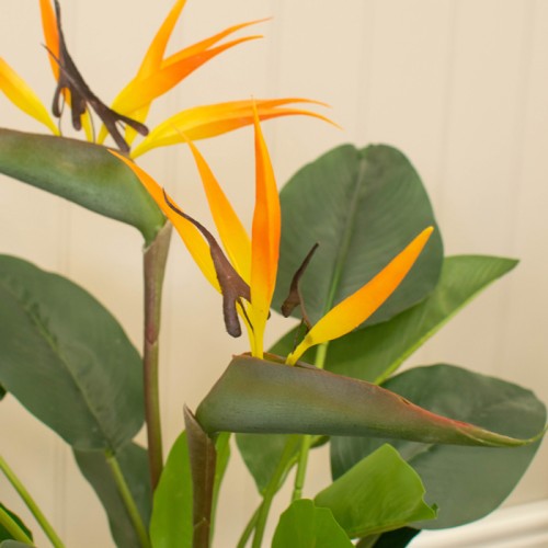 Artificial Plants | Potted Artificial Strelitzia Plant 80cm | Bird of Paradise - BIR002 