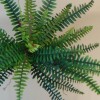 Artificial Boston Fern Plant 36 Leaves 69cm - BOS003 Artificial Boston Fern Plant 36 Leaves 69cm - BOS003