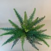 Artificial Boston Fern Plant 36 Leaves 69cm - BOS003 Artificial Boston Fern Plant 36 Leaves 69cm - BOS003
