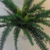 Artificial Boston Fern Plant 48 Leaves 109cm - BOS004 C1 Artificial Boston Fern Plant 48 Leaves 109cm - BOS004 C1