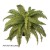 Artificial Boston Fern Plant 48 Leaves 85cm - BOS005 DD3