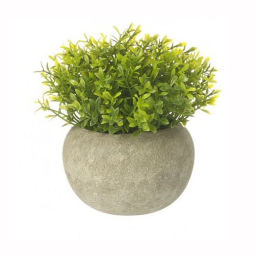 Artificial Boxus Plants in Pot 12cm - BOX002 6C Artificial Boxus Plants in Pot 12cm - BOX002 6C
