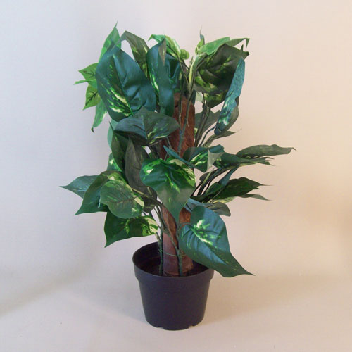 Artificial Plants Potted Dieffenbachia - DIE001 6E