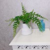 Artificial Fern in White Cermic Pot - FER056 FR Artificial Fern in White Cermic Pot - FER056 FR