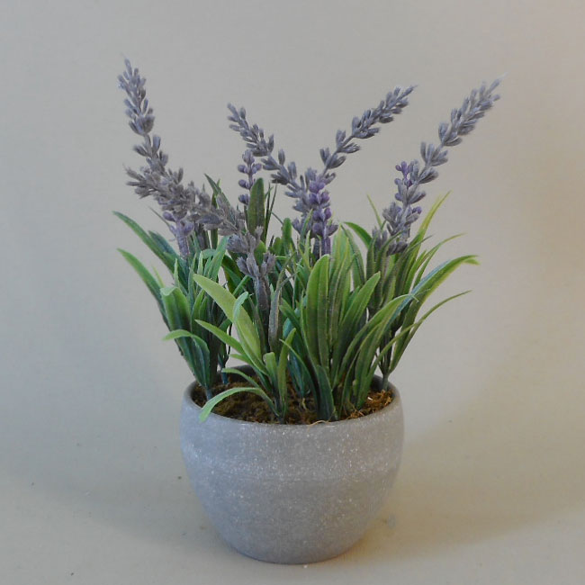 Closer2Nature Artificial 11cm Mixed Miniature Lavender Plant Collection in Decorative Pots 