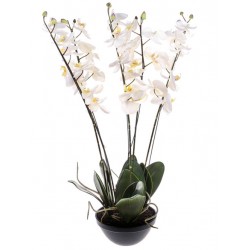 Artificial Phalaenopsis Orchid Plant in Black Bowl Cream - ORP045 4C