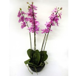 Artificial Phalaenopsis Orchid Plant in Black Bowl Pink - ORP046 4C