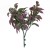 Budget Photinia Plants Two Tone Green Purple 22cm - PHO002 HH1