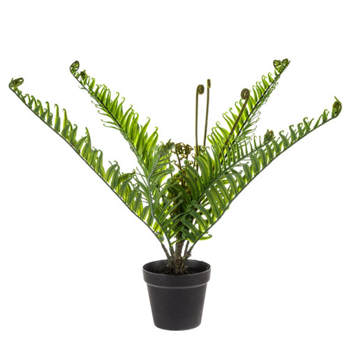 Artificial Plants Potted Fiddlehead Fern 53cm - FER018