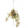 Artificial Trailing Fittonia Plant in Macrame Hanger - FIT003 FR