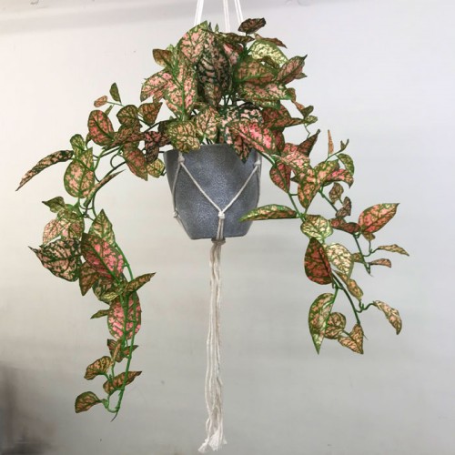 Artificial Trailing Fittonia Plant in Macrame Hanger - FIT003 FR