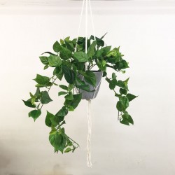 Artificial Trailing Philodendron in Macrame Hanger - PHI019 5D