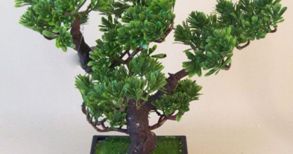 Artificial Podocarpus Bonsai Tree Artificial Plants And Trees