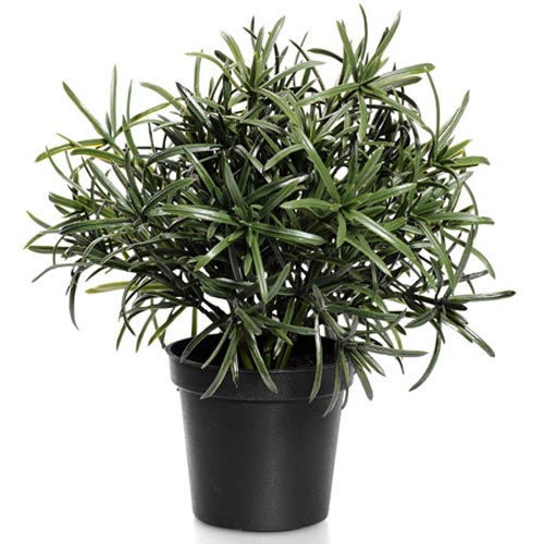 Artificial Plants Rosemary in Pot - ROS025 