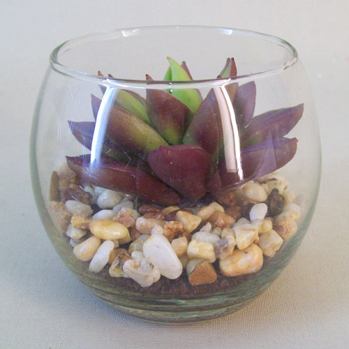 Artificial Succulents in Mini Fish Bowl - SUC009 3B Artificial Succulents in Mini Fish Bowl - SUC009 3B