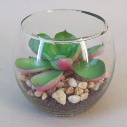 Artificial Succulents in Mini Fish Bowl - SUC007 3B