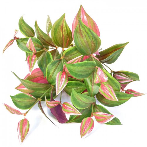 Artificial Wandering Jew Plant Tradescantia - TRA001 S1