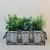 Assorted Potted Artificial Plants in Wire Tray - POT002 