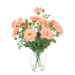 Coral Pink Roses Artificial Flower Arrangement - ROS004 6B