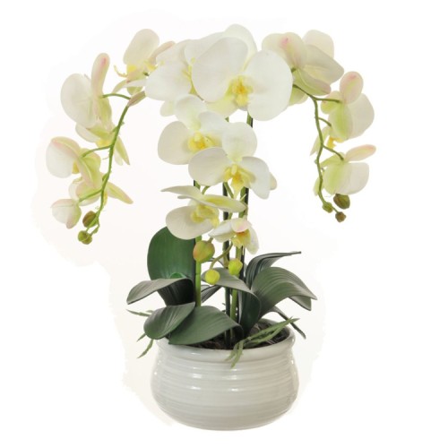 Artificial Phalaenopsis Orchid Plants WHite - ORC020 6A