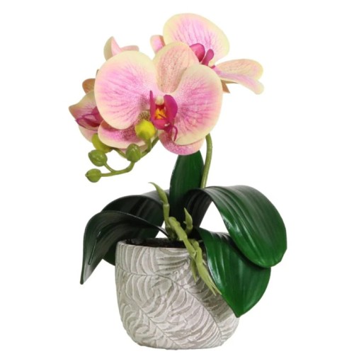 Mini Artificial Orchid Plant in Ceramic Pot Pink and Yellow - ORC002 4D Mini Artificial Orchid Plant in Ceramic Pot Pink and Yellow - ORC002 4D