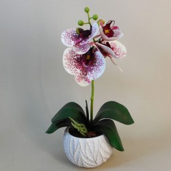 Mini Artificial Orchid Plant in Ceramic Pot White Burgundy 28cm - ORC001 7B