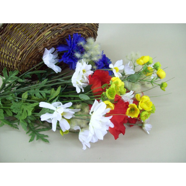 British Wild Flowers
