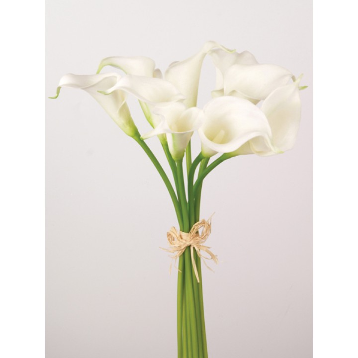 Calla Lilies Calla Lilies